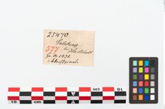 Etikett zu Bronzespiralröhrchen (NHMW-PRAE-025470)